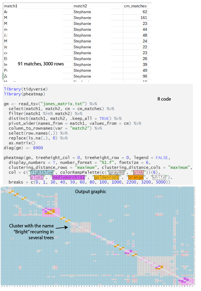 Ancestry Tree showing Samuel Jones and Sarah Bright