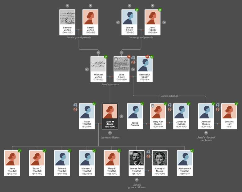 A computer screen shot of a computer tree

Description automatically generated